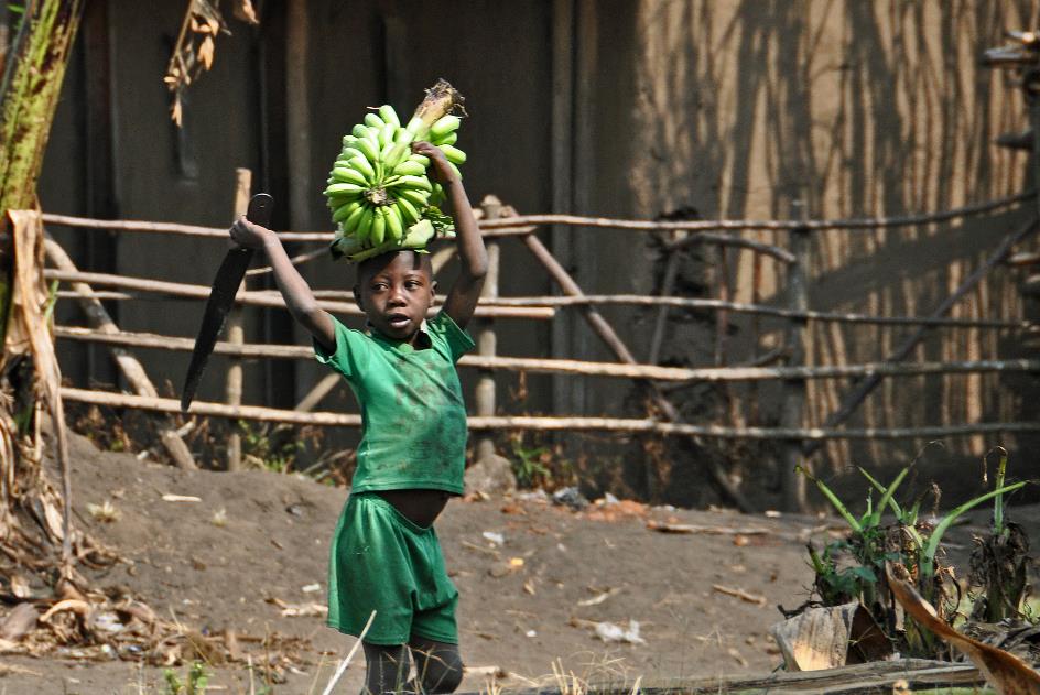 D:\DataFoto\Foto's - Reizen\2016-07-11 Oeganda - Rwanda\12 Lake Papaya Wandeling\Best Of\OERW1840y.jpg