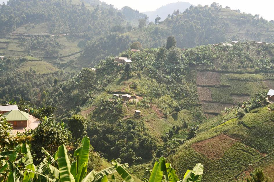 D:\DataFoto\Foto's - Reizen\2016-07-11 Oeganda - Rwanda\21 Naar Lake Mutanda 2\Best Of\OERW3074y.jpg