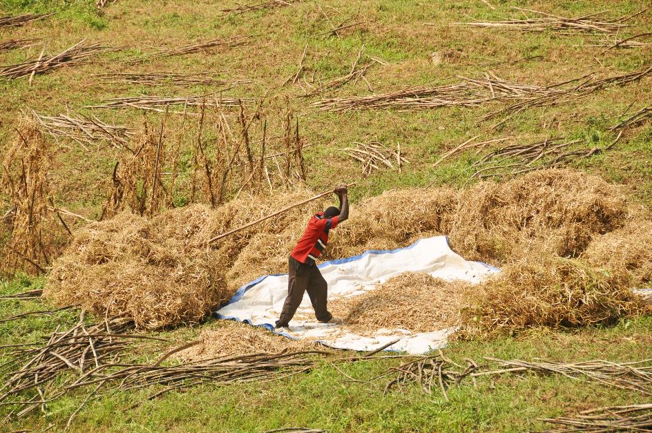 D:\DataFoto\Foto's - Reizen\2016-07-11 Oeganda - Rwanda\21 Naar Lake Mutanda 2\Best Of\OERW3109y.jpg