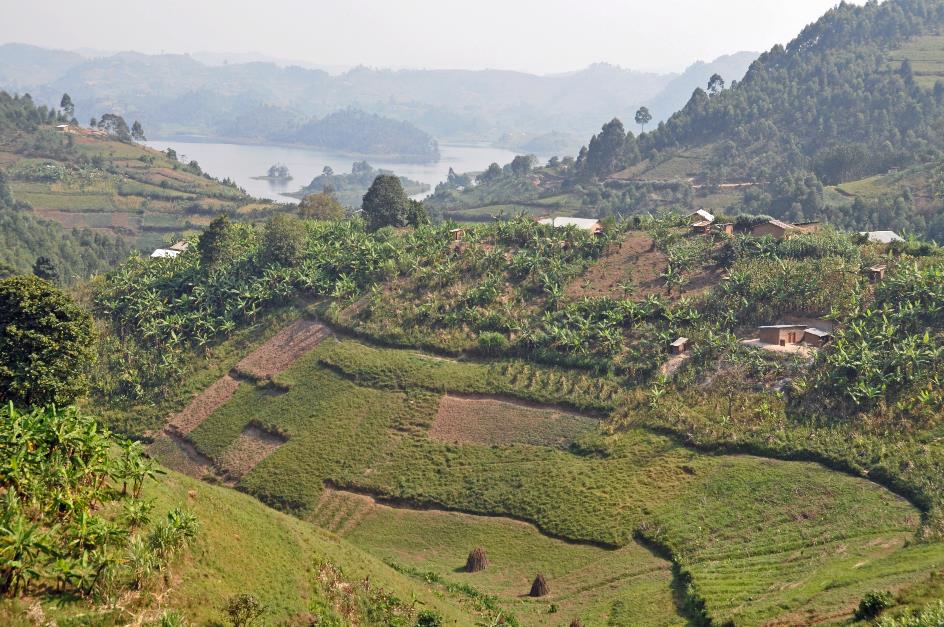 D:\DataFoto\Foto's - Reizen\2016-07-11 Oeganda - Rwanda\21 Naar Lake Mutanda 2\Best Of\OERW3066y.jpg