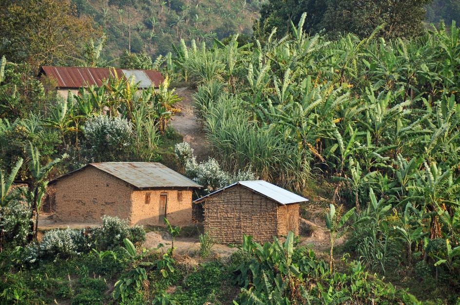 D:\DataFoto\Foto's - Reizen\2016-07-11 Oeganda - Rwanda\21 Naar Lake Mutanda 2\Best Of\OERW3111y.jpg