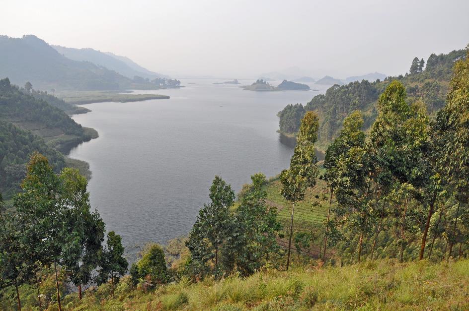 D:\DataFoto\Foto's - Reizen\2016-07-11 Oeganda - Rwanda\22 Lake Mutanda Wandeling\Best Of\OERW3119y.jpg