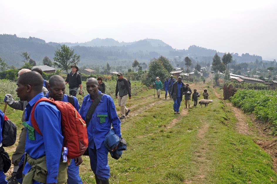 D:\DataFoto\Foto's - Reizen\2016-07-11 Oeganda - Rwanda\26 Virunga Gorilla Trekking\Best Of\OERW3357y.jpg