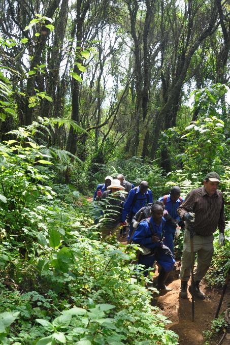 D:\DataFoto\Foto's - Reizen\2016-07-11 Oeganda - Rwanda\26 Virunga Gorilla Trekking\Best Of\OERW3390s.jpg