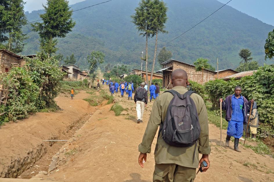 D:\DataFoto\Foto's - Reizen\2016-07-11 Oeganda - Rwanda\26 Virunga Gorilla Trekking\Best Of\OERW3357y.jpg