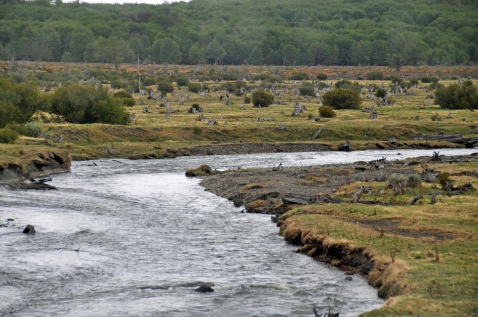 D:\DataFoto\Foto's - Reizen\2017-10-29 Patagonie\08 NP Tierra del Fuego\Best Of\PAGO1239x.jpg