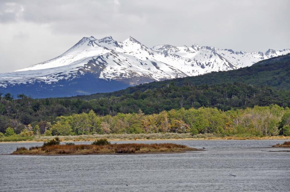 D:\DataFoto\Foto's - Reizen\2017-10-29 Patagonie\08 NP Tierra del Fuego\Best Of\PAGO1290x.jpg