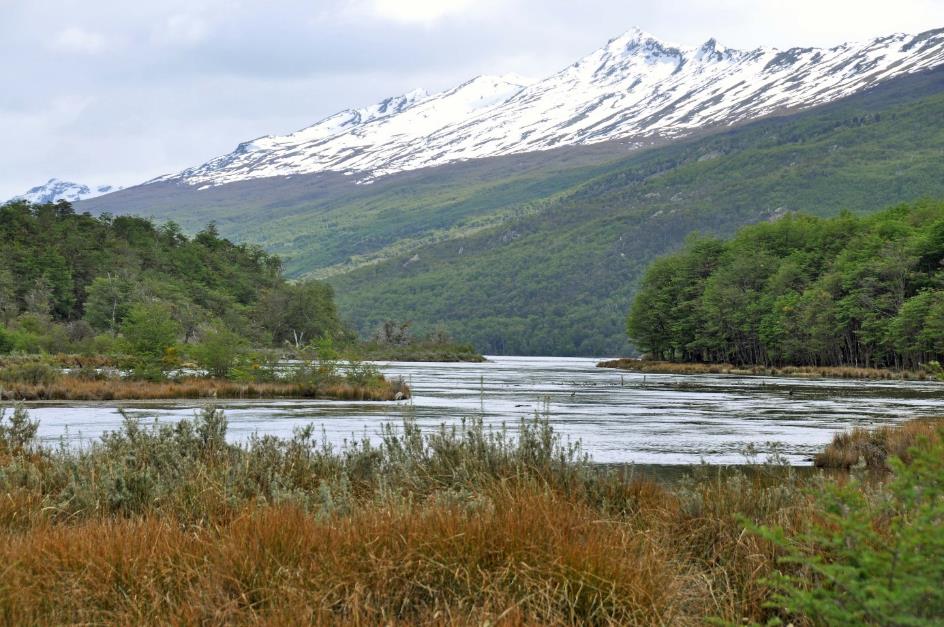 D:\DataFoto\Foto's - Reizen\2017-10-29 Patagonie\08 NP Tierra del Fuego\Best Of\PAGO1303x.jpg