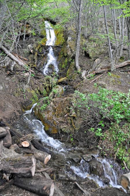 D:\DataFoto\Foto's - Reizen\2017-10-29 Patagonie\08 NP Tierra del Fuego\Best Of\PAGO1212y.jpg