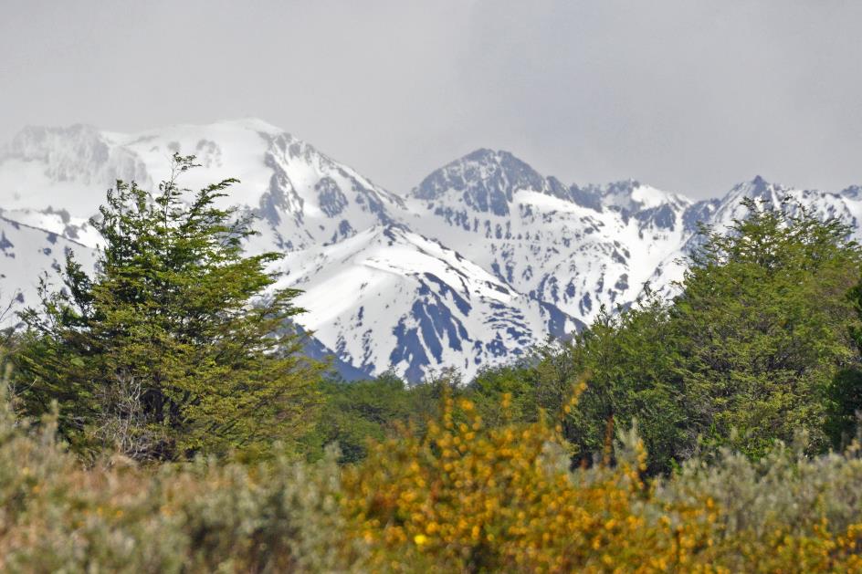 D:\DataFoto\Foto's - Reizen\2017-10-29 Patagonie\08 NP Tierra del Fuego\Best Of\PAGO1450y.jpg