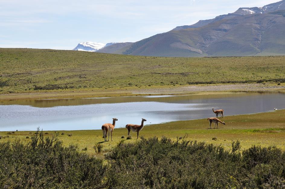 D:\DataFoto\Foto's - Reizen\2017-10-29 Patagonie\21 Lago Sarmiento\Best Of\PAGO3409x.jpg