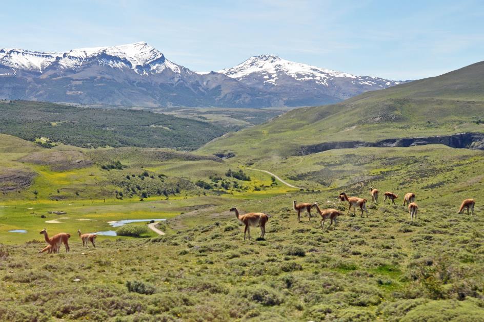 D:\DataFoto\Foto's - Reizen\2017-10-29 Patagonie\23 Cascada Rio Paine\Best Of\PAGO3539y.jpg