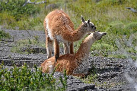 D:\DataFoto\Foto's - Reizen\2017-10-29 Patagonie\29 Mirador Los Cuernos\Best Of\PAGO3820y.jpg