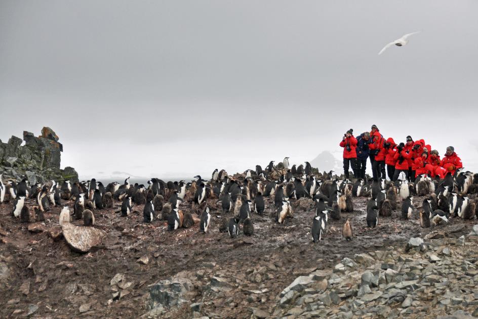 D:\DataFoto\Foto's - Reizen\2018-01-21 Antarctica (herschikt)\06 Half Moon Island\Best Of\ANTA0586y.jpg