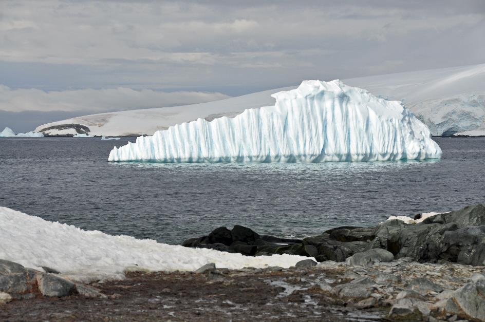 D:\DataFoto\Foto's - Reizen\2018-01-21 Antarctica (herschikt)\07 Hydrurga\Best Of\ANTA0859y.jpg