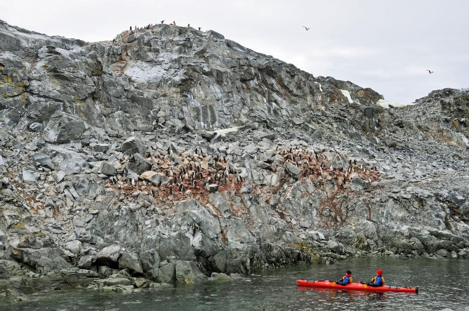 D:\DataFoto\Foto's - Reizen\2018-01-21 Antarctica (herschikt)\07 Hydrurga\Best Of\ANTA0819y.jpg