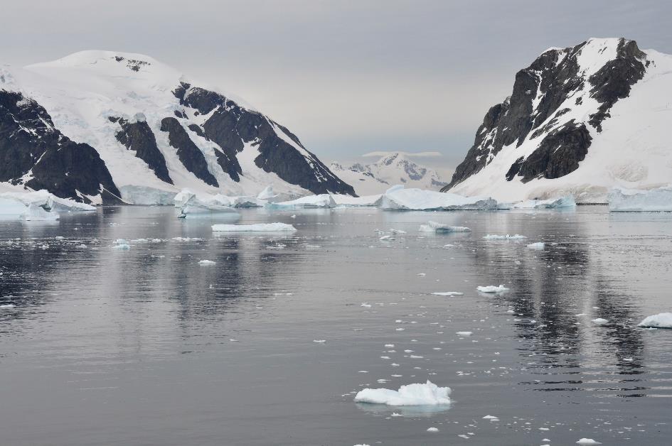 D:\DataFoto\Foto's - Reizen\2018-01-21 Antarctica\13 Danco Island\Pdf klaar\ANTA1558x.jpg