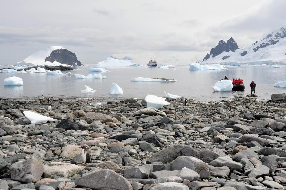 D:\DataFoto\Foto's - Reizen\2018-01-21 Antarctica (herschikt)\13 Danco Island\Best Of\ANTA1755x.jpg