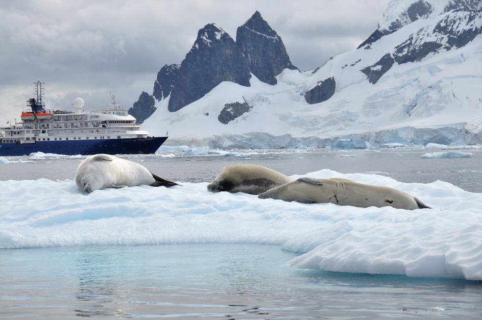 D:\DataFoto\Foto's - Reizen\2018-01-21 Antarctica (herschikt)\14 Danco Island - Krabbeneters\Best Of\ANTA1838x.jpg