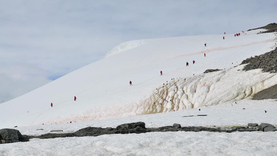 D:\DataFoto\Foto's - Reizen\2018-01-21 Antarctica\13 Danco Island\Pdf klaar\ANTA1757b.jpg
