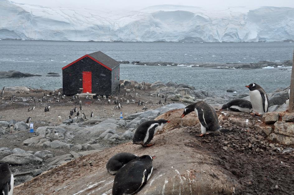 D:\DataFoto\Foto's - Reizen\2018-01-21 Antarctica (herschikt)\15 Port Lockroy\Best Of\ANTA1926xy.jpg
