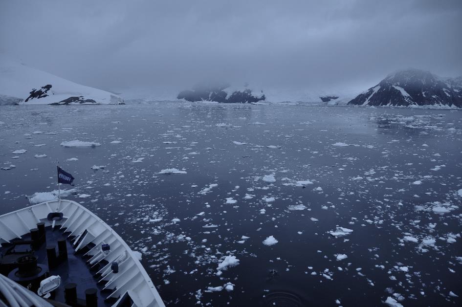 D:\DataFoto\Foto's - Reizen\2018-01-21 Antarctica\16 Neko Harbour\ANTA1989x.jpg