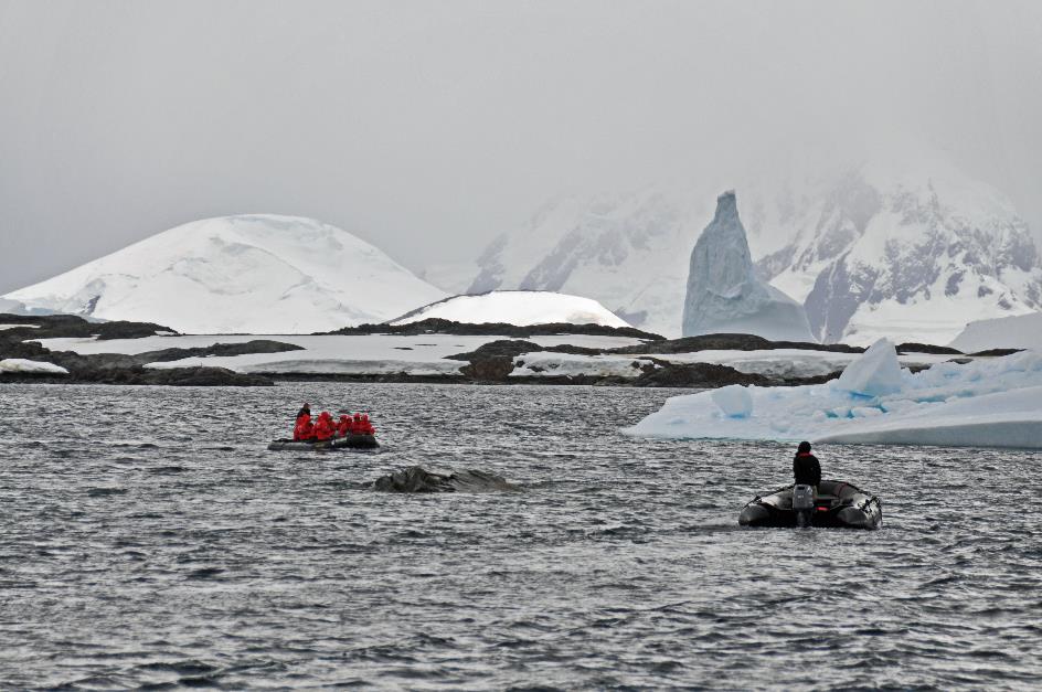 D:\DataFoto\Foto's - Reizen\2018-01-21 Antarctica (herschikt)\19 Winter Island\Best Of\ANTA2181y.jpg