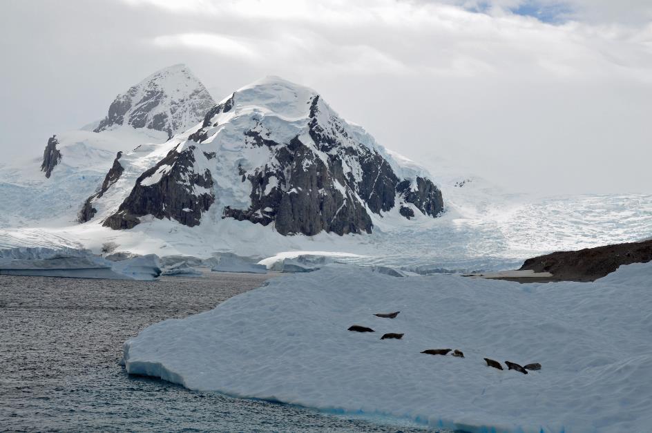 D:\DataFoto\Foto's - Reizen\2018-01-21 Antarctica (herschikt)\21 Paradise Bay\Best Of\ANTA2674y.jpg