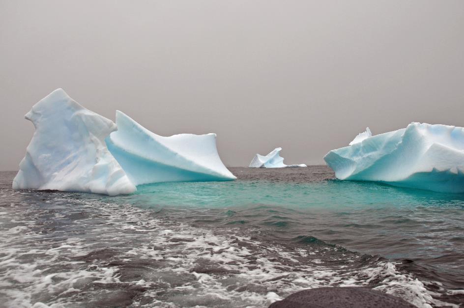 D:\DataFoto\Foto's - Reizen\2018-01-21 Antarctica (herschikt)\23 Enterprise Island\Best Of\ANTA2961y.jpg