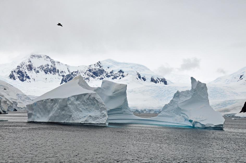 D:\DataFoto\Foto's - Reizen\2018-01-21 Antarctica (herschikt)\20 Port Charcot\Best Of\ANTA2316y.jpg