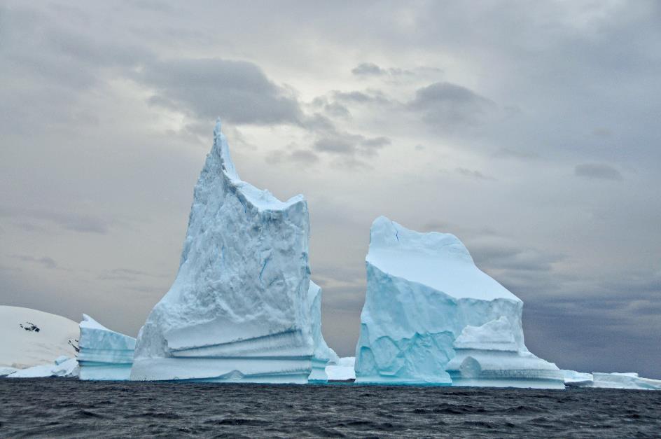 D:\DataFoto\Foto's - Reizen\2018-01-21 Antarctica (herschikt)\20 Port Charcot\Best Of\ANTA2592y.jpg