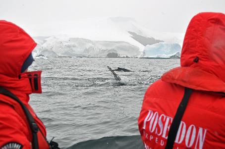 D:\DataFoto\Foto's - Reizen\2018-01-21 Antarctica (herschikt)\23 Enterprise Island\Best Of\ANTA2990y.jpg