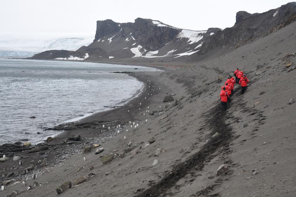 D:\DataFoto\Foto's - Reizen\2018-01-21 Antarctica (herschikt)\26 Hannah Point\2601 Strandzichten\Best Of\ANTA3489x.jpg