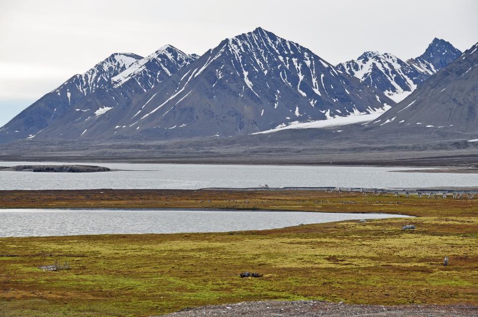 D:\DataFoto\Foto's - Reizen\2018-07-18 Spitsbergen\02 Ny-Alesund\Best Of\SPIT0163y.jpg