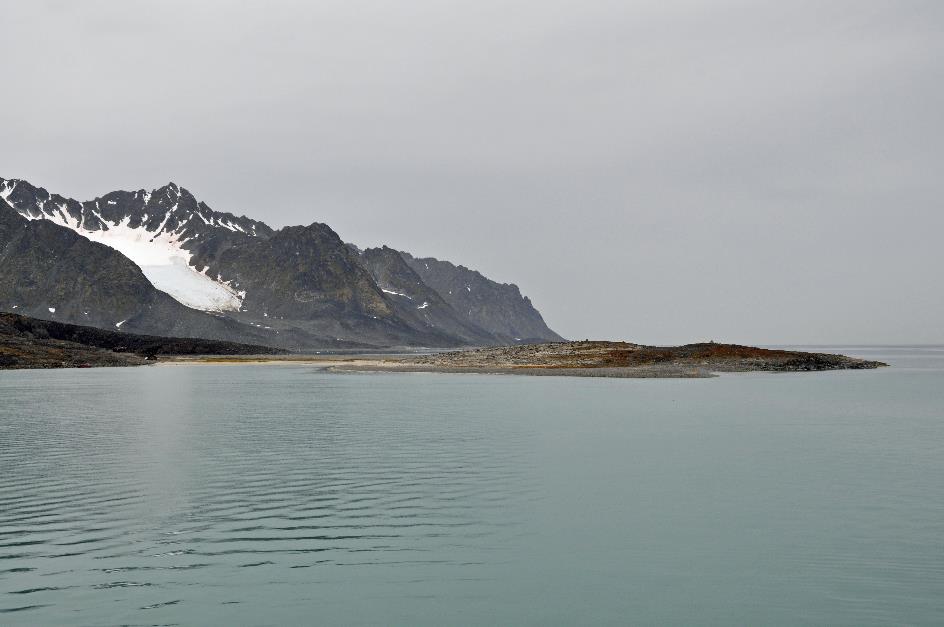 D:\DataFoto\Foto's - Reizen\2018-07-18 Spitsbergen\03 Magdalenefjorden\Best Of\SPIT0321y.jpg