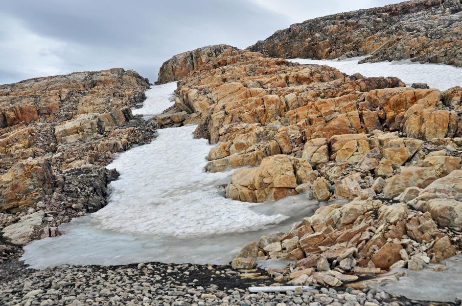 D:\DataFoto\Foto's - Reizen\2018-07-18 Spitsbergen\10 Sorgfjorden\Best Of\SPIT1381y.jpg