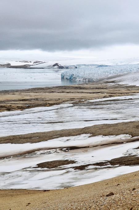 D:\DataFoto\Foto's - Reizen\2018-07-18 Spitsbergen\12 Vegafonna\Best Of\SPIT1627s.jpg