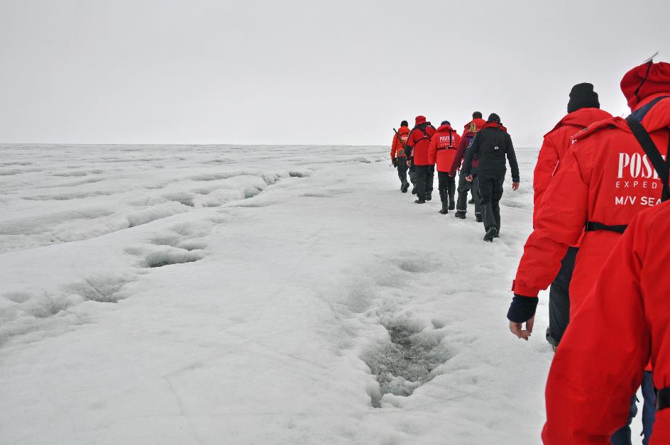 D:\DataFoto\Foto's - Reizen\2018-07-18 Spitsbergen\12 Vegafonna\Best Of\SPIT1662y.jpg