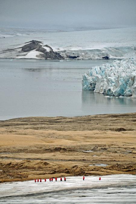 D:\DataFoto\Foto's - Reizen\2018-07-18 Spitsbergen\12 Vegafonna\Best Of\SPIT1797y.jpg