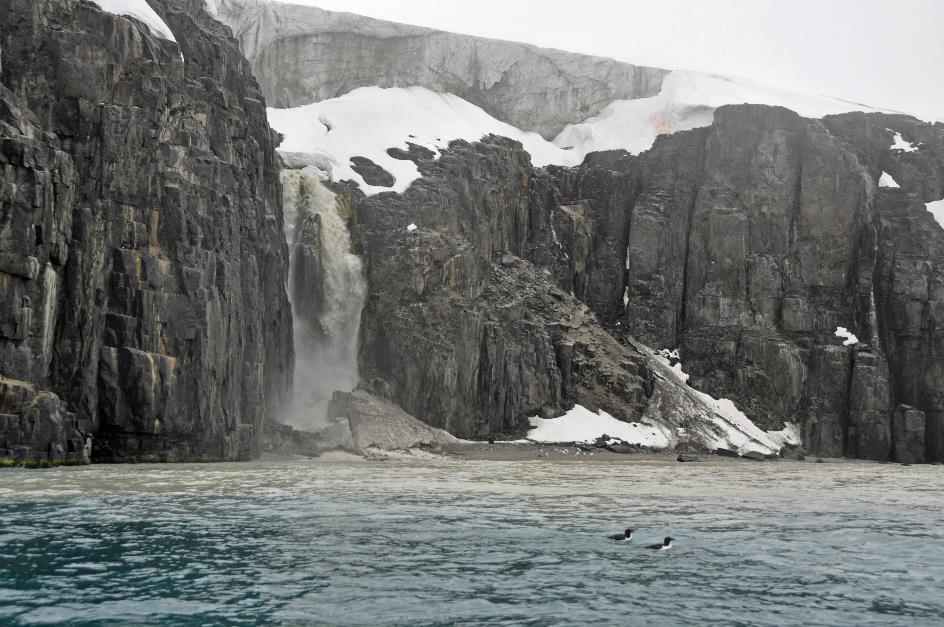 D:\DataFoto\Foto's - Reizen\2018-07-18 Spitsbergen\14 Alkefjellet\Best Of\SPIT1980y.jpg