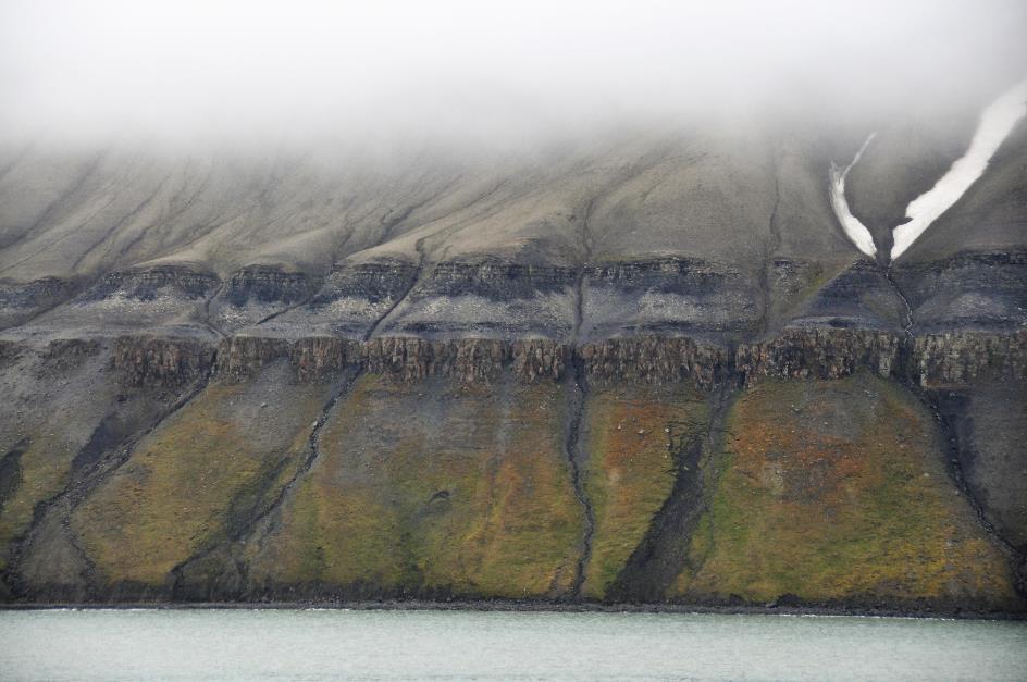 D:\DataFoto\Foto's - Reizen\2018-07-18 Spitsbergen\17 Freemansundet\Werkmap\SPIT2565x.jpg