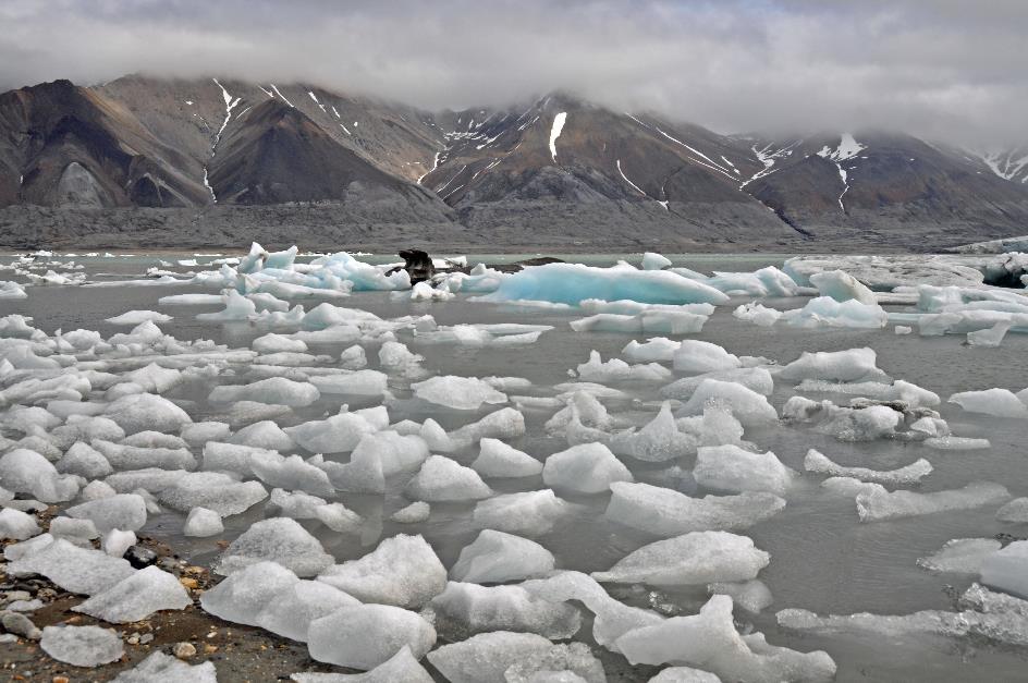 D:\DataFoto\Foto's - Reizen\2018-07-18 Spitsbergen\23 Recherchefjorden\Best Of\SPIT4088y.jpg