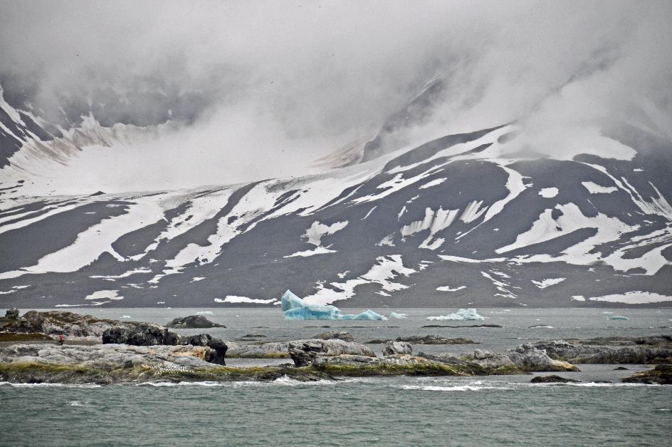 D:\DataFoto\Foto's - Reizen\2018-07-18 Spitsbergen\19 Gnalodden\Best Of\SPIT2998y.jpg