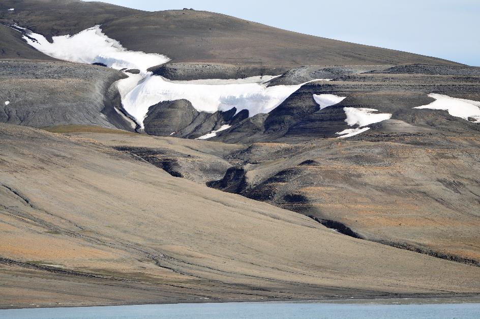 D:\DataFoto\Foto's - Reizen\2018-07-18 Spitsbergen\17 Freemansundet\Werkmap\SPIT2553x.jpg