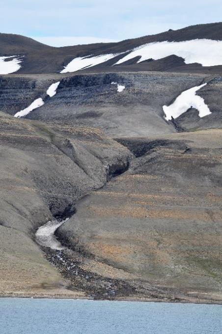 D:\DataFoto\Foto's - Reizen\2018-07-18 Spitsbergen\17 Freemansundet\Werkmap\SPIT2495x.jpg