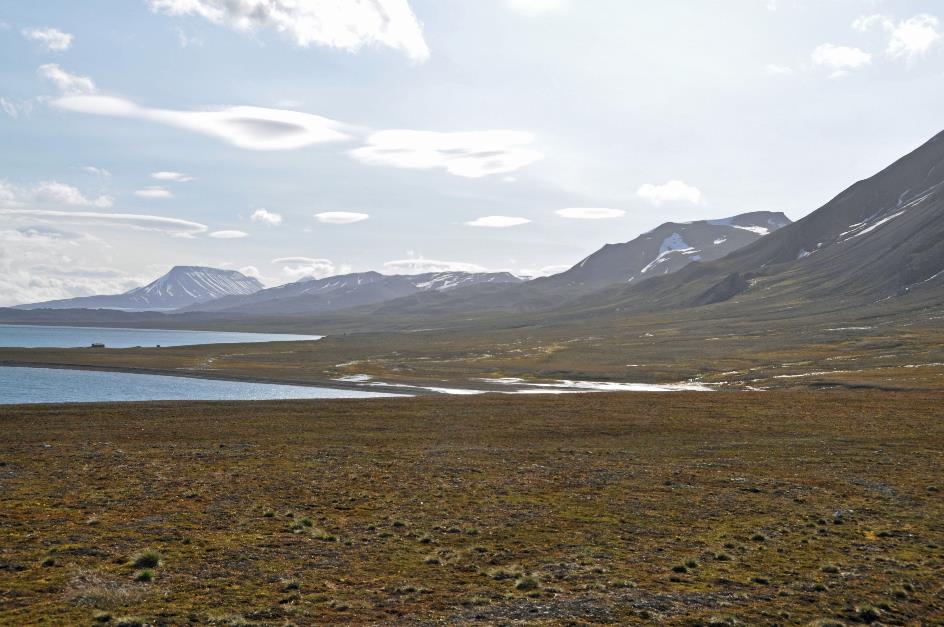 D:\DataFoto\Foto's - Reizen\2018-07-18 Spitsbergen\22 Ahlstrandhalfoya\Best Of\SPIT3767y.jpg