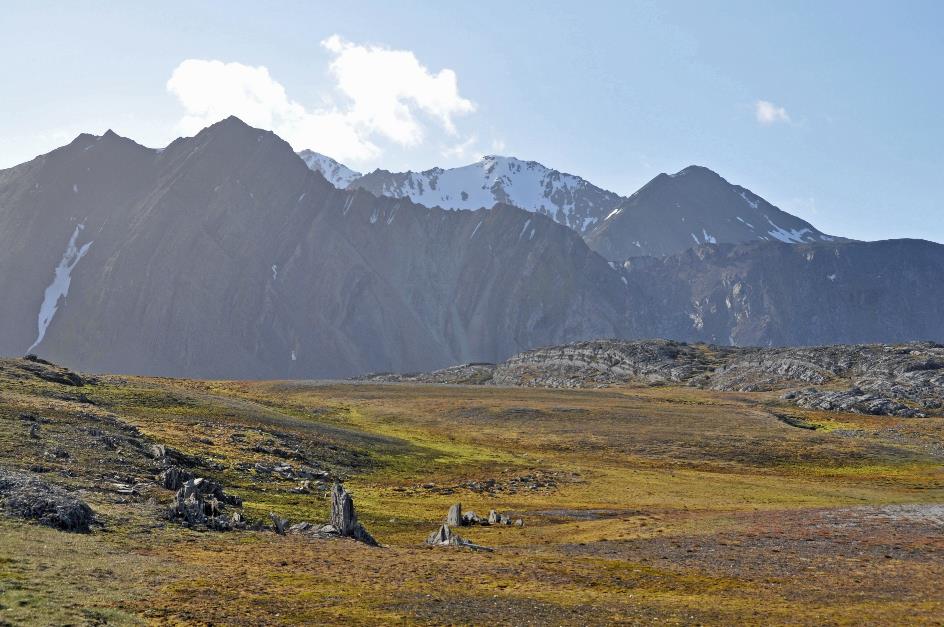 D:\DataFoto\Foto's - Reizen\2018-07-18 Spitsbergen\22 Ahlstrandhalfoya\Best Of\SPIT3927y.jpg