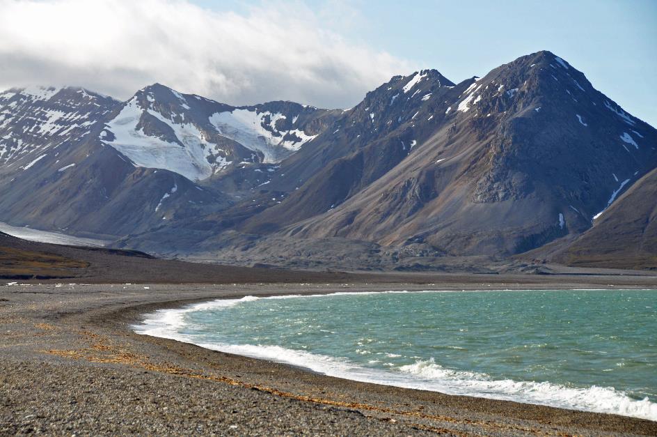 D:\DataFoto\Foto's - Reizen\2018-07-18 Spitsbergen\22 Ahlstrandhalfoya\Best Of\SPIT3969y.jpg