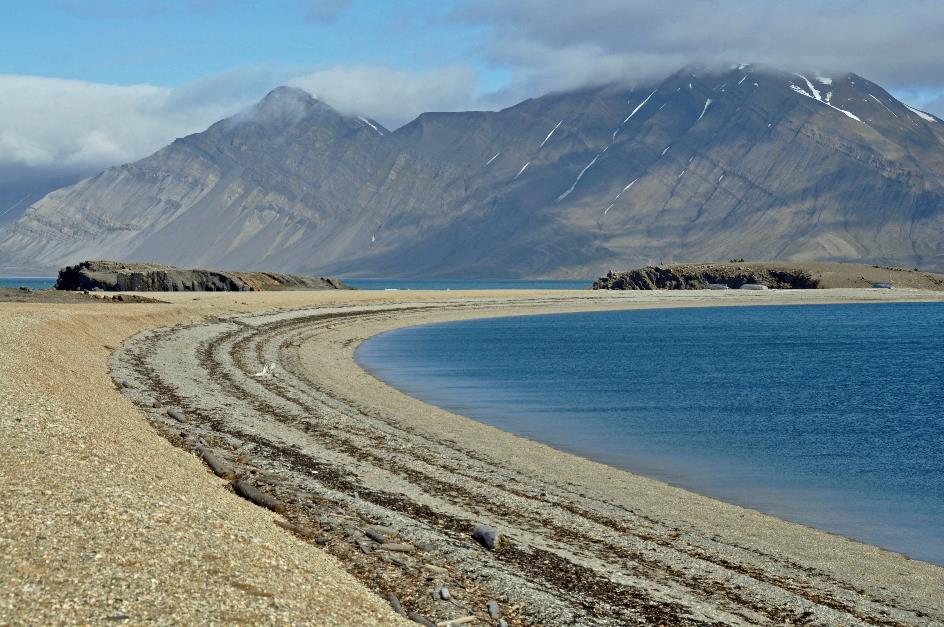 D:\DataFoto\Foto's - Reizen\2018-07-18 Spitsbergen\22 Ahlstrandhalfoya\Best Of\SPIT3931y.jpg