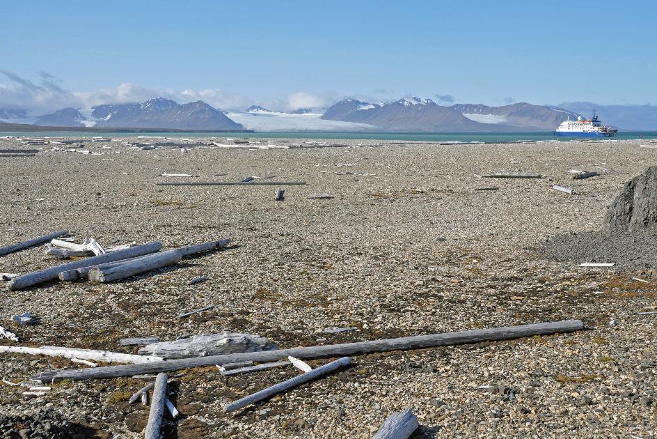 D:\DataFoto\Foto's - Reizen\2018-07-18 Spitsbergen\22 Ahlstrandhalfoya\Best Of\SPIT3958y.jpg